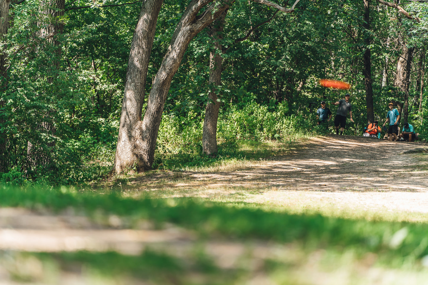 Support Kaposia Park Upgrades!